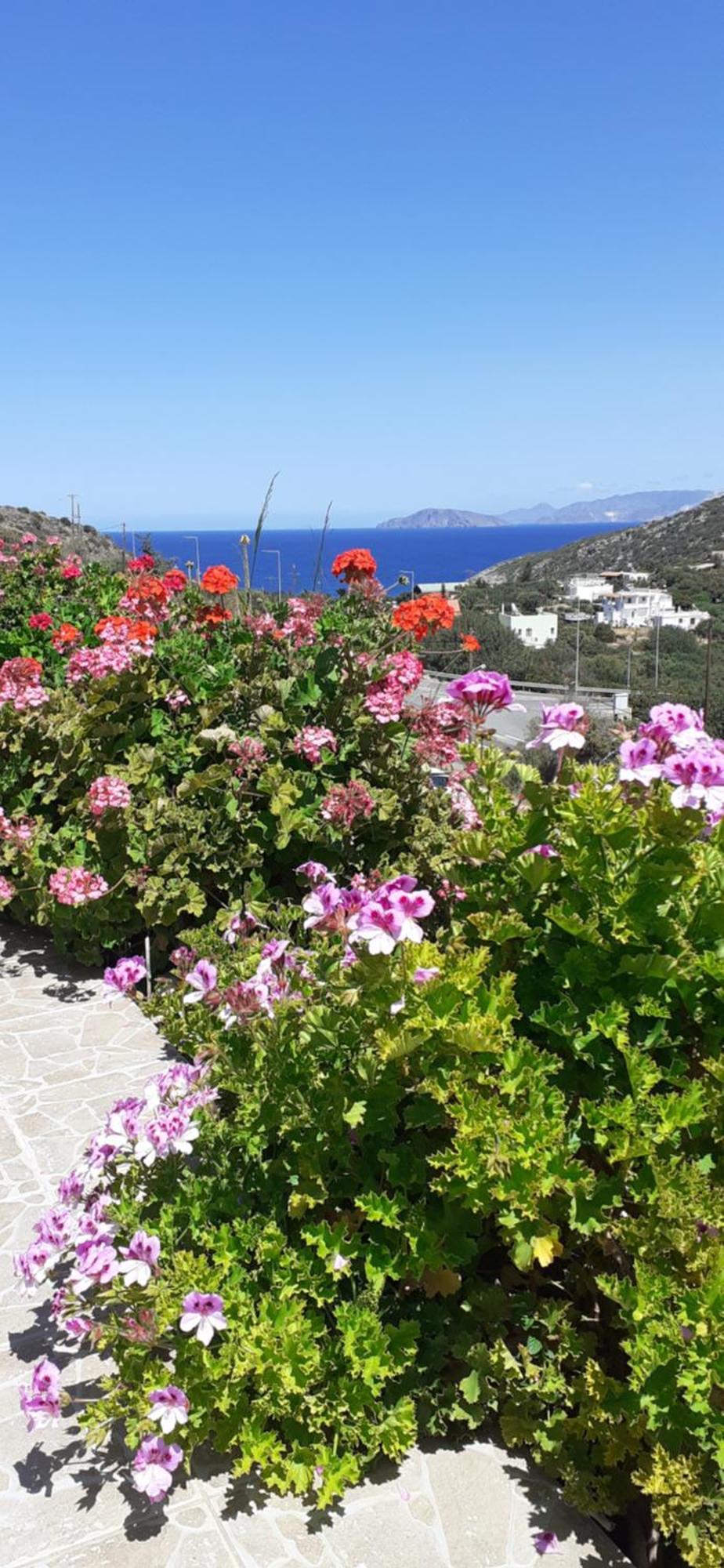 Hari Apartments Vathi, Agios Nikolaos Crete Exterior foto