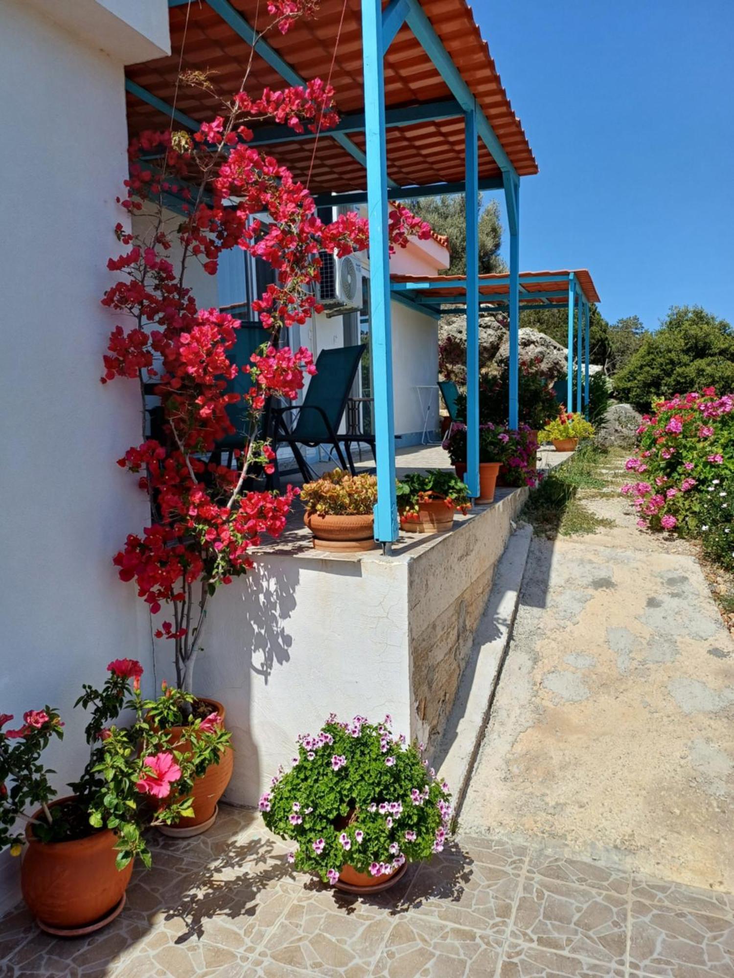 Hari Apartments Vathi, Agios Nikolaos Crete Exterior foto